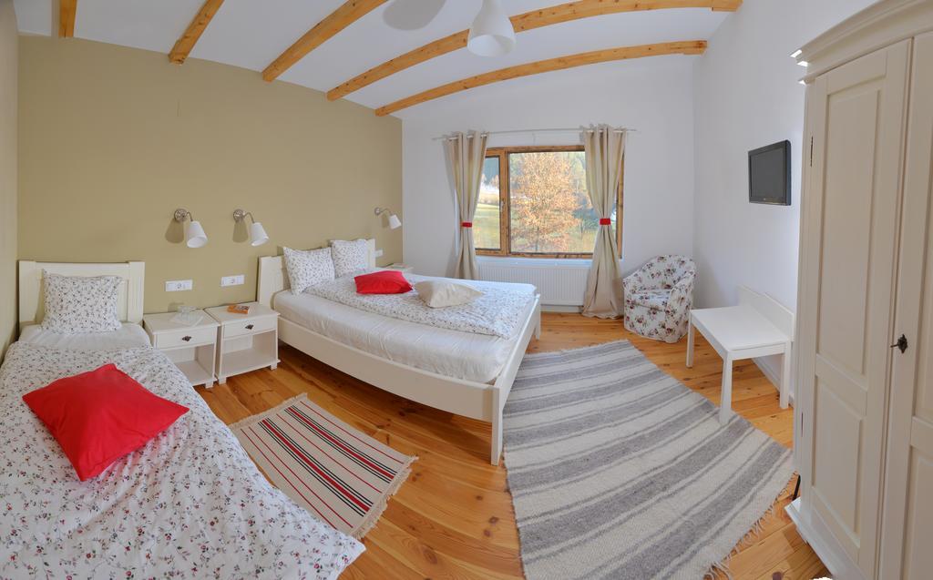 Pensiunea Talhaus Viseu de Sus Bagian luar foto